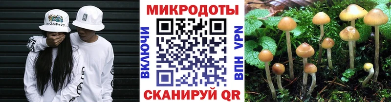 мега как войти  наркотики  Можга  Галлюциногенные грибы Cubensis 