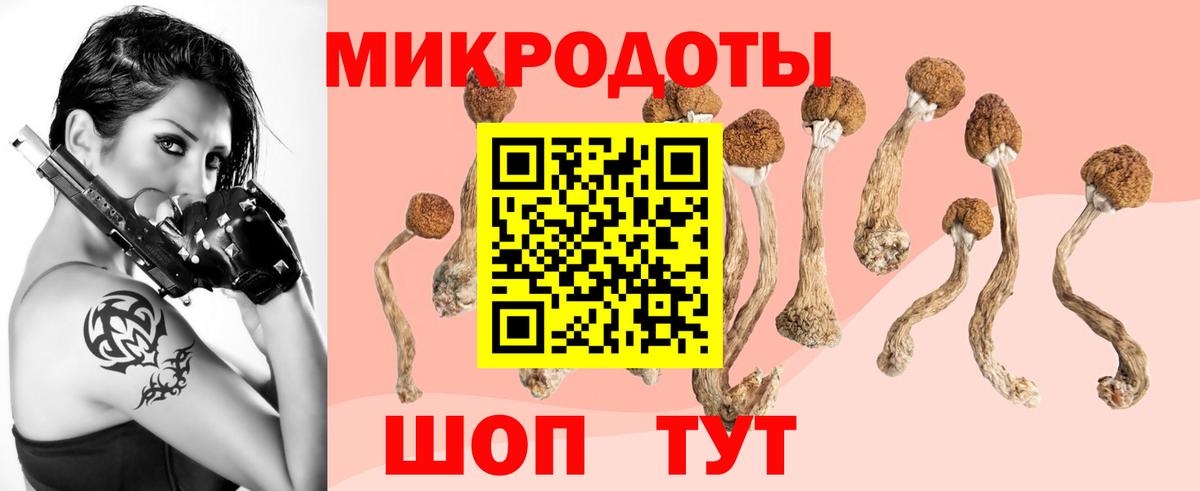 Галлюциногенные грибы MAGIC MUSHROOMS  Галлюциногенные грибы Psilocybe  Вход с VPN  Можга 